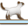 �Ȃ��Ă�悤�ŁB