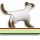 �������āA
