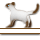 �l�R�ɗႦ�����ˁH