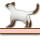 �C�܂��ꂾ���炩�ȁB