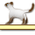 ���ɓ����B